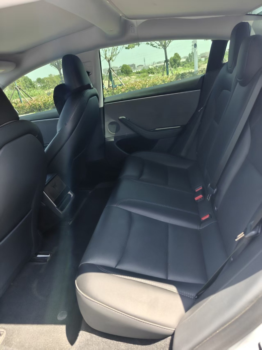 Tesla Model 3 2025 #6 Tesla Model 3 2025 car image #6