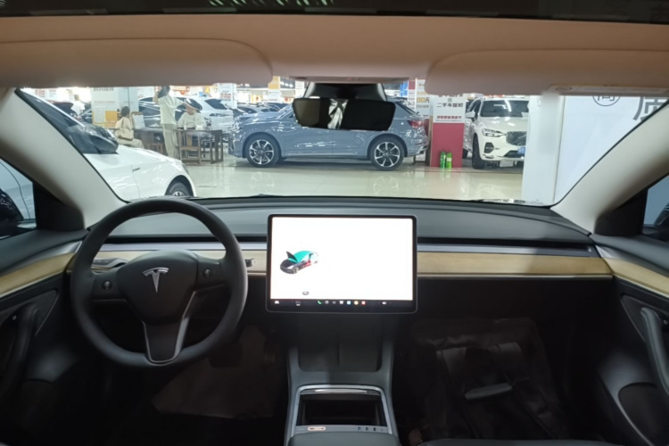 Tesla Model 3 2021 #10 Tesla Model 3 2021 immagine di auto #10