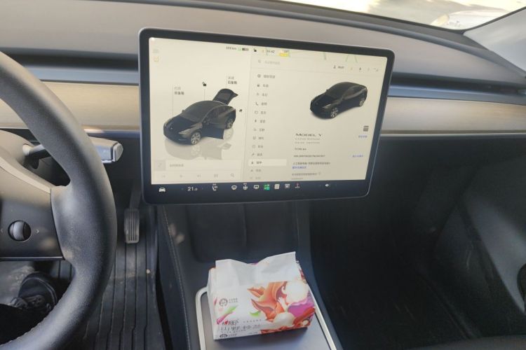 Tesla Model Y 2022 immagine di auto #13
