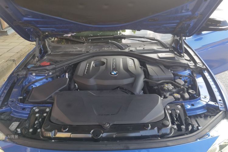 BMW 3 Series 2017 car image #22