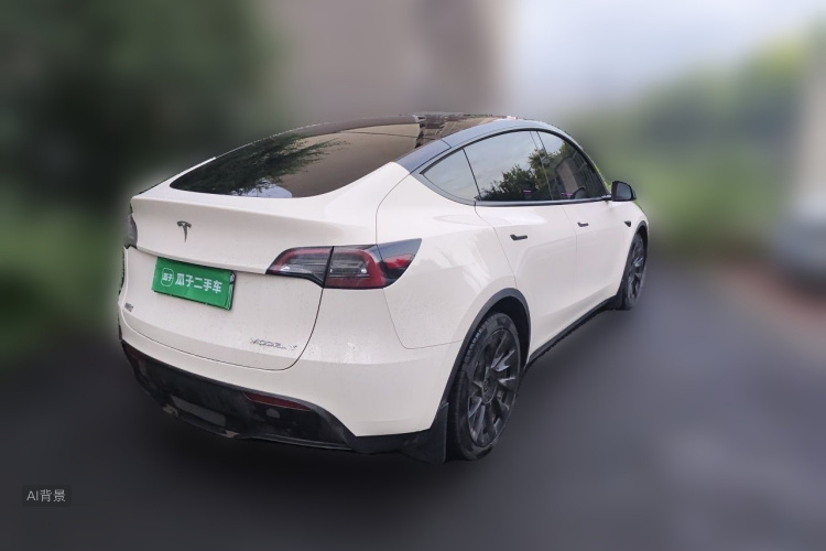Tesla Model Y 2021 car image #7