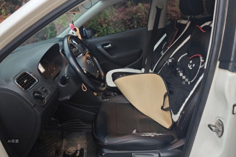 Volkswagen Polo 2017 car image #17