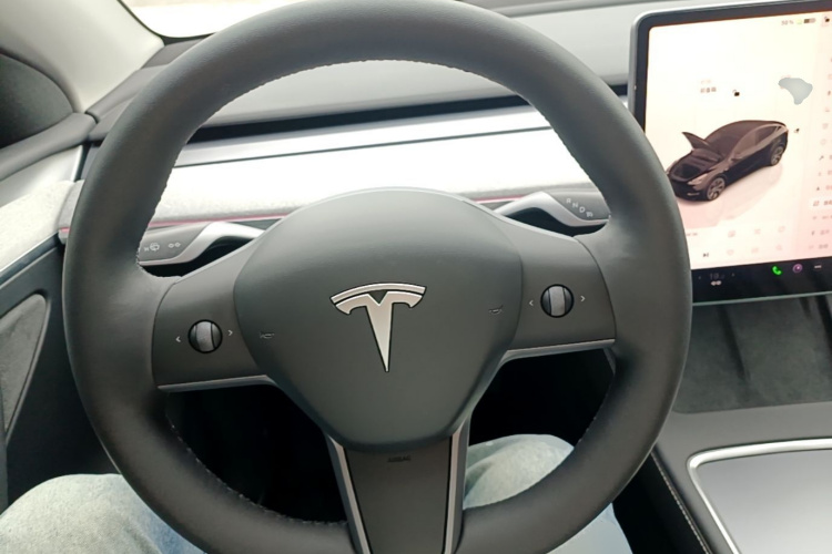 Tesla Model Y 2024 car image #11