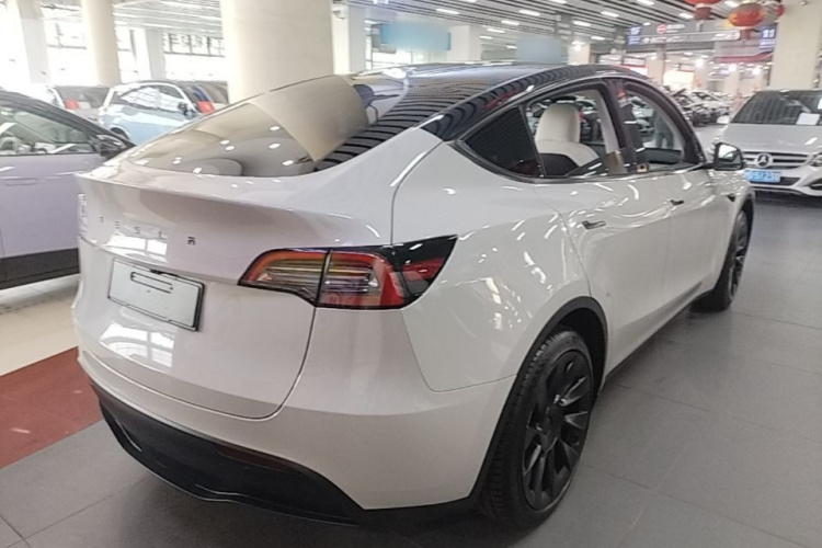 Tesla Model Y 2023 #5 Tesla Model Y 2023 car image #5