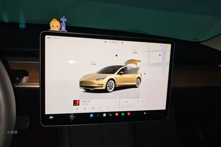 Tesla Model 3 2022 #13 Tesla Model 3 2022 car image #13