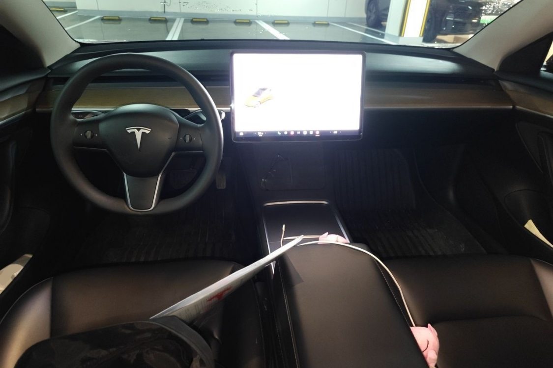 Tesla Model 3 2021 #21 Tesla Model 3 2021 car image #21