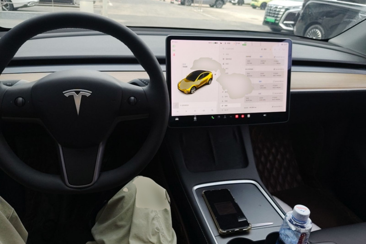 Tesla Model Y 2021 car image #10