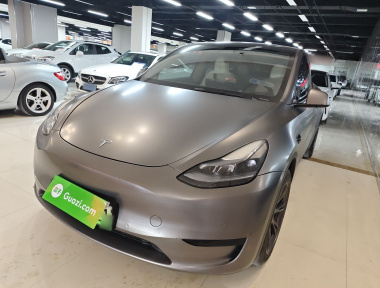 Tesla Model Y 2023 car image 