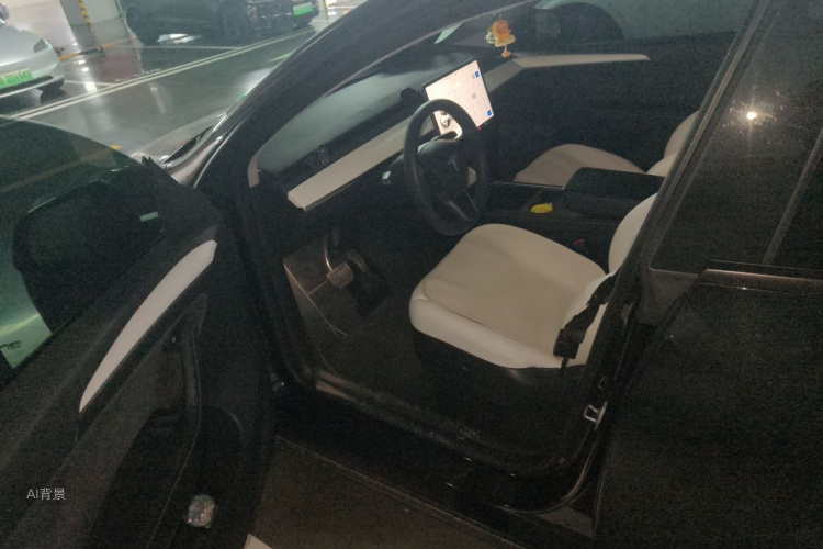 Tesla Model Y 2023 car image #18