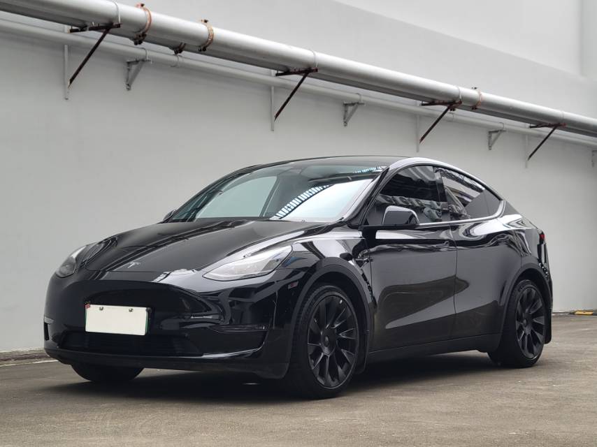 Tesla Model Y 2021 Tesla Model Y 2021 car image