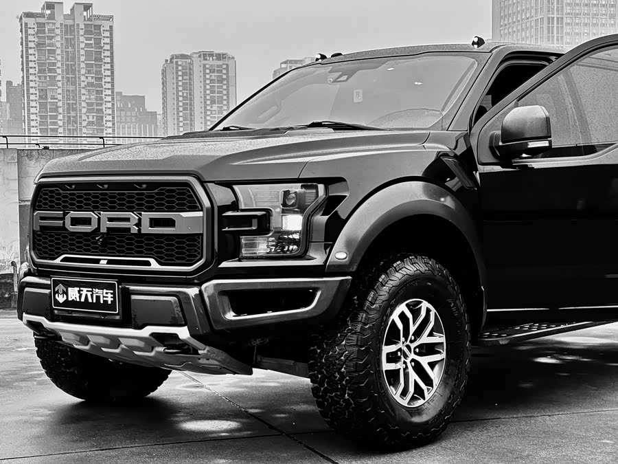 Ford F-150 Raptor 2017 car image #25