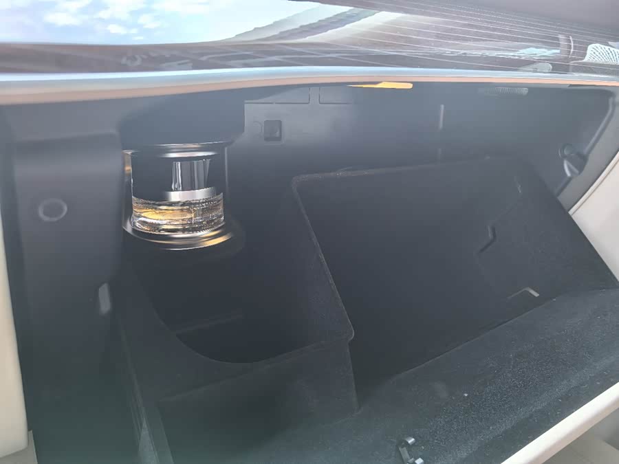 Mercedes-Benz Maybach GLS 2021 car image #25