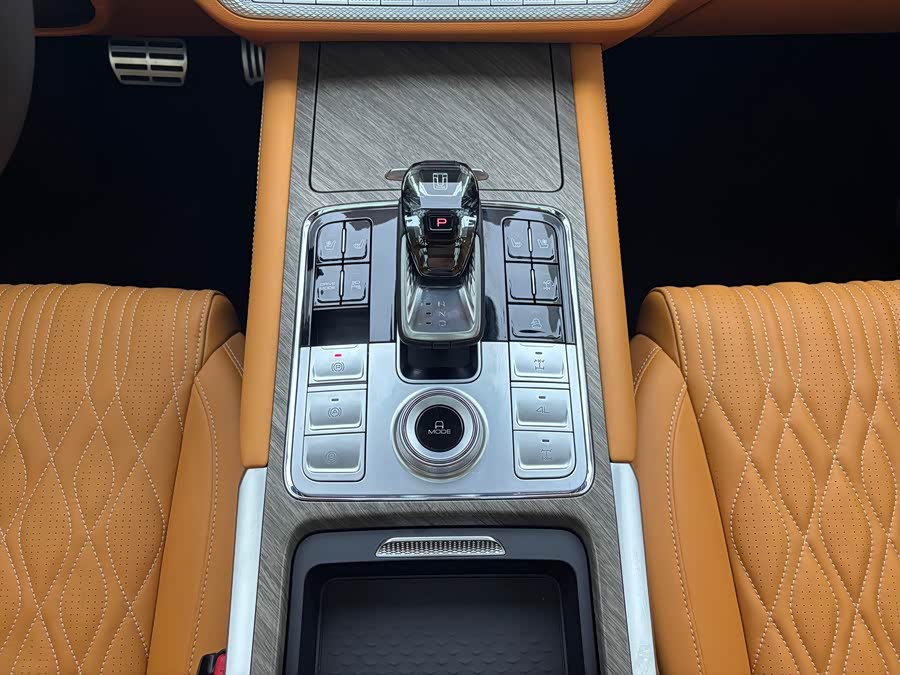 Tank 500 New Energy 2024 immagine di auto #25