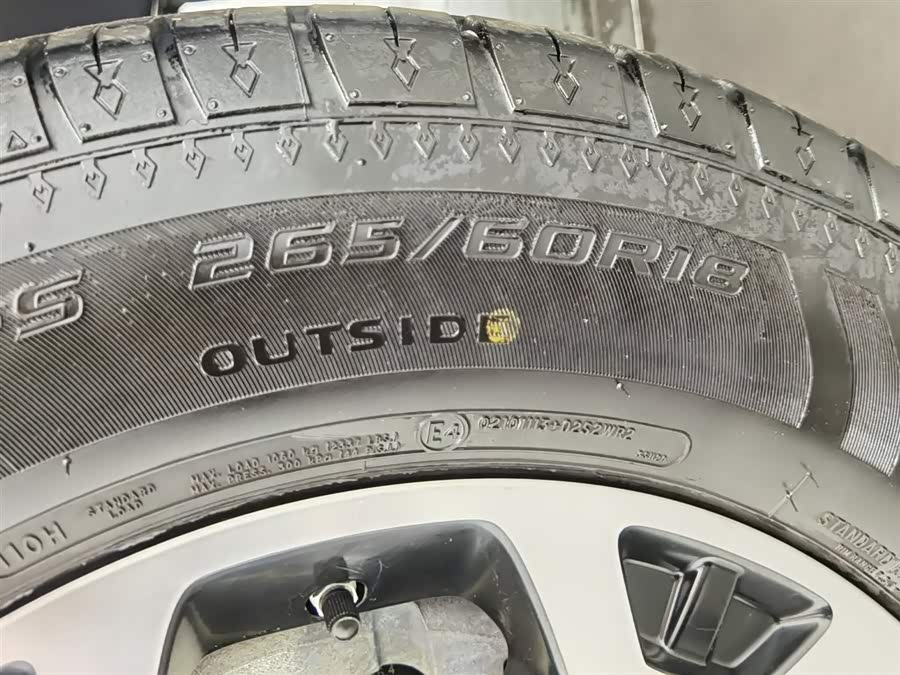 Tank 300 New Energy 2024 car image #25