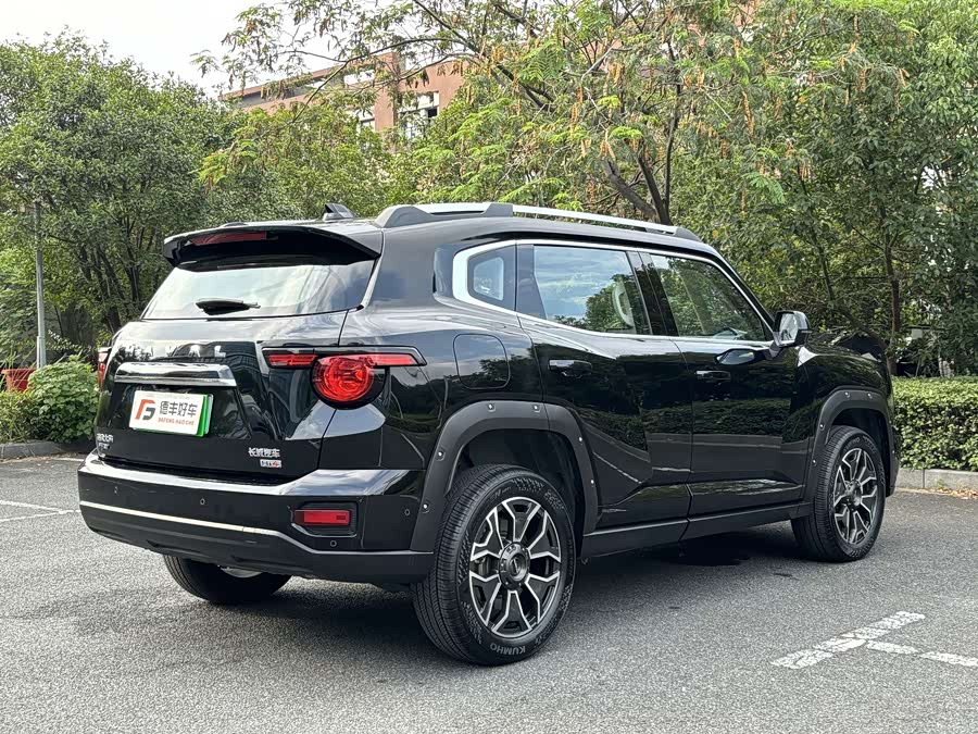 Haval X Dog 2 New Energy 2024 car image #25