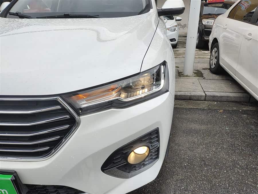 Haval H4 2019 #25 Haval H4 2019 car image #25