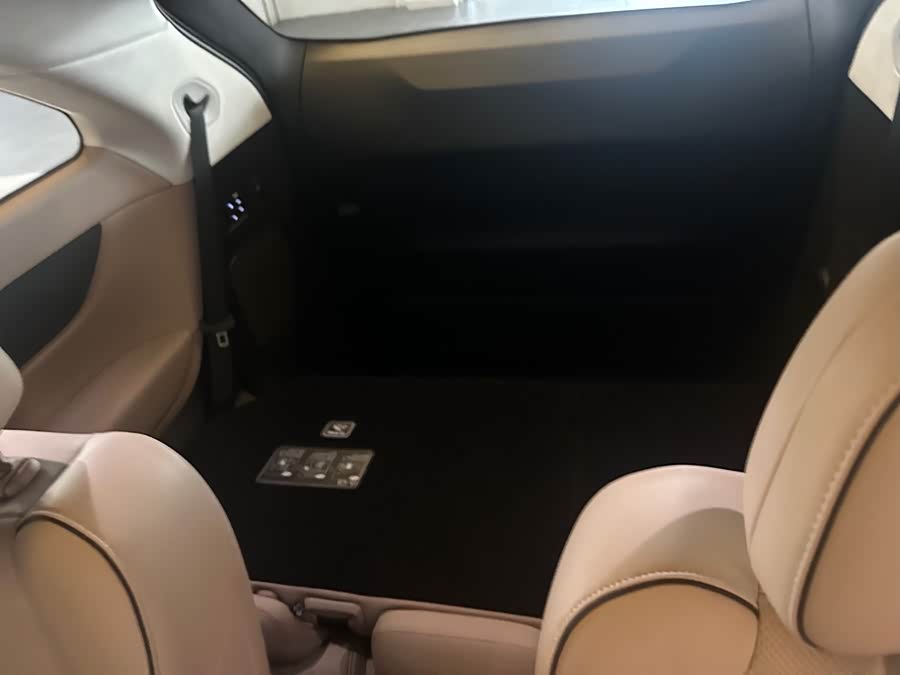 Xpeng X9 2024 imagem de carro #25