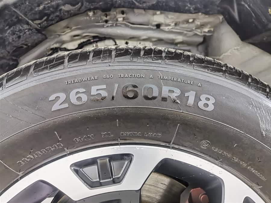 Tank 300 New Energy 2025 #25 Tank 300 New Energy 2025 car image #25