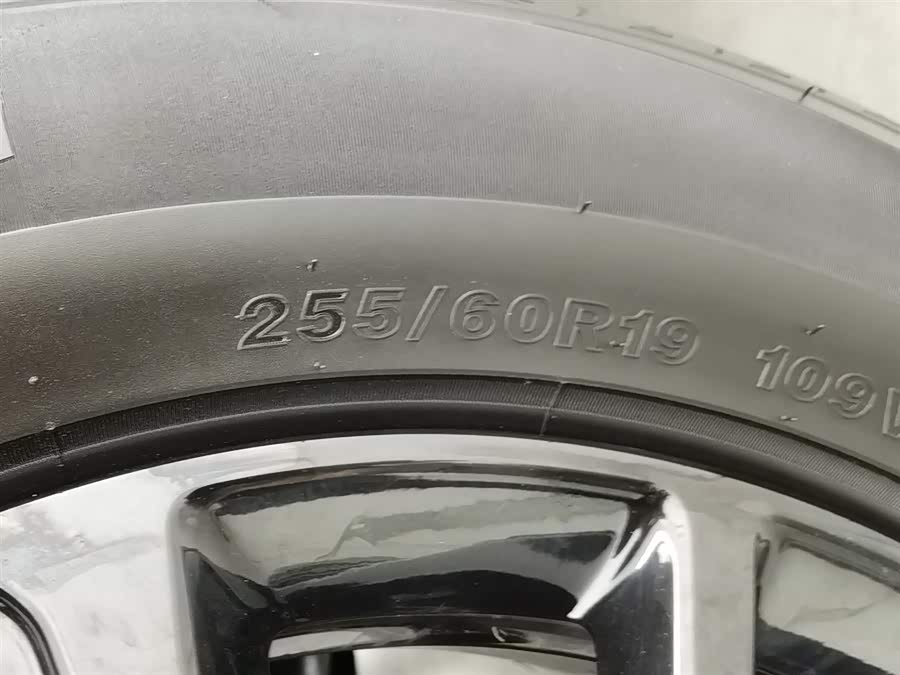 Haval Raptor New Energy 2024 car image #25