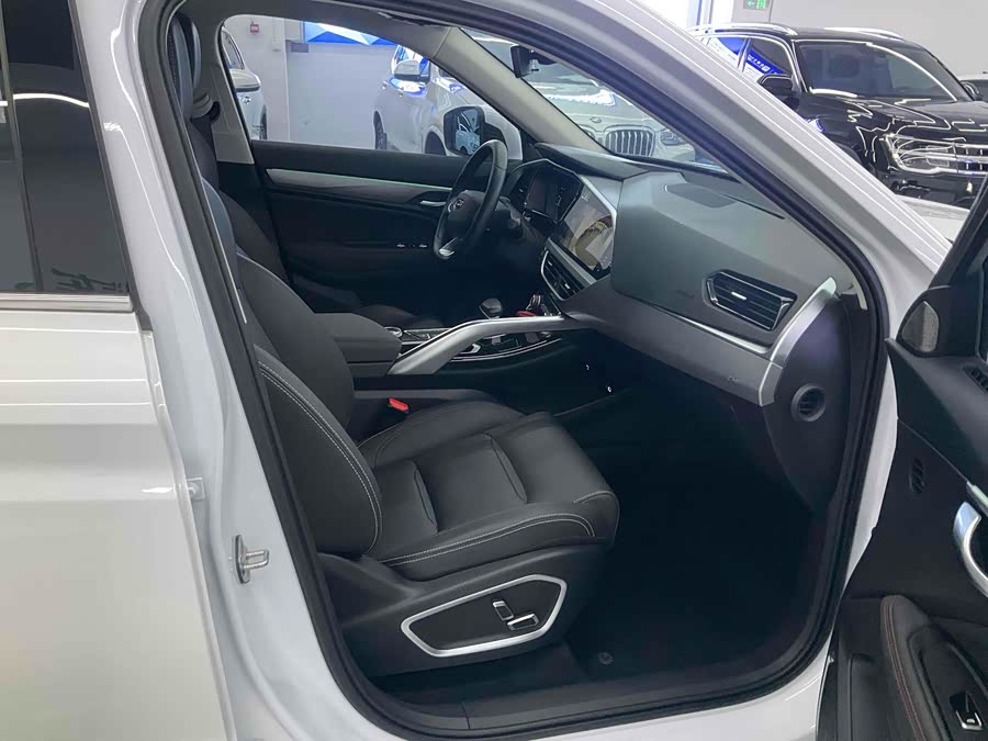 GEELY Tugella S 2022 car image #25