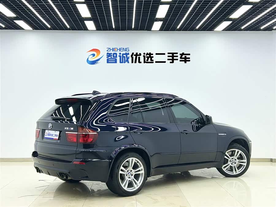 BMW X5 M 2010 #25 BMW X5 M 2010 car image #25