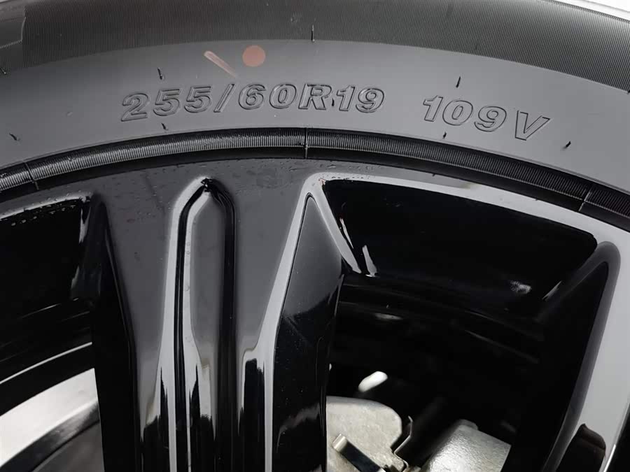 Haval Raptor New Energy 2025 #25 Haval Raptor New Energy 2025 car image #25