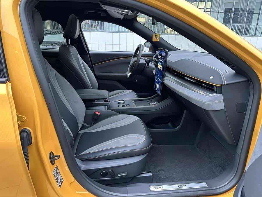 Ford Mustang Mach-E 2023 car image #25