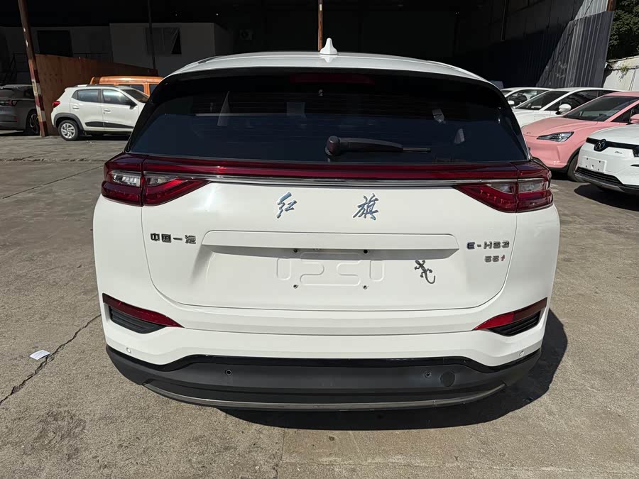 HongQi E-HS3 2019 car image #25