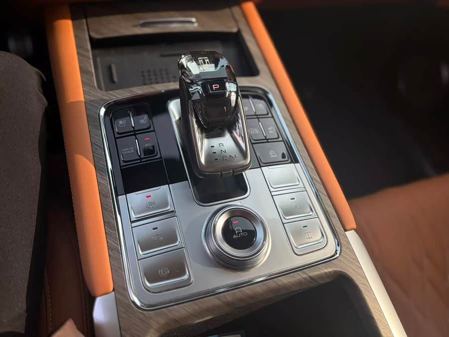 Tank 500 New Energy 2024 car image #25