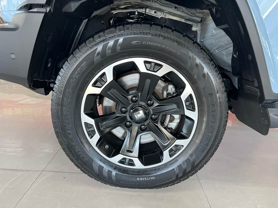 Tank 300 New Energy 2024 car image #25