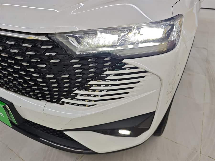 Haval H6 2022 immagine di auto #25