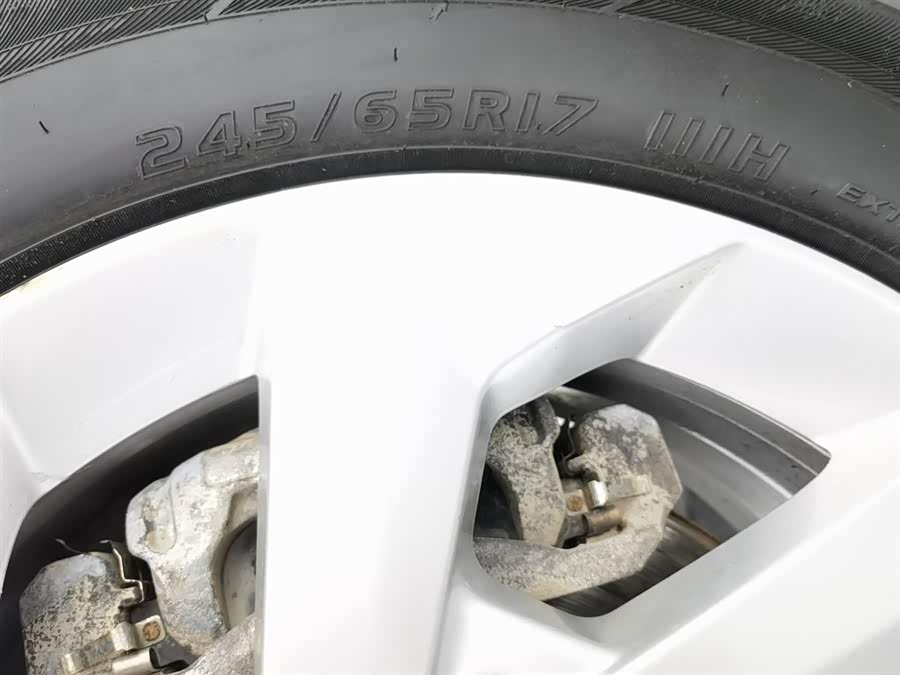 Great Wall Jingang Pao 2022 #25 Great Wall Jingang Pao 2022 immagine di auto #25