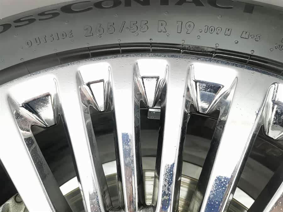 Tank 500 New Energy 2025 immagine di auto #25