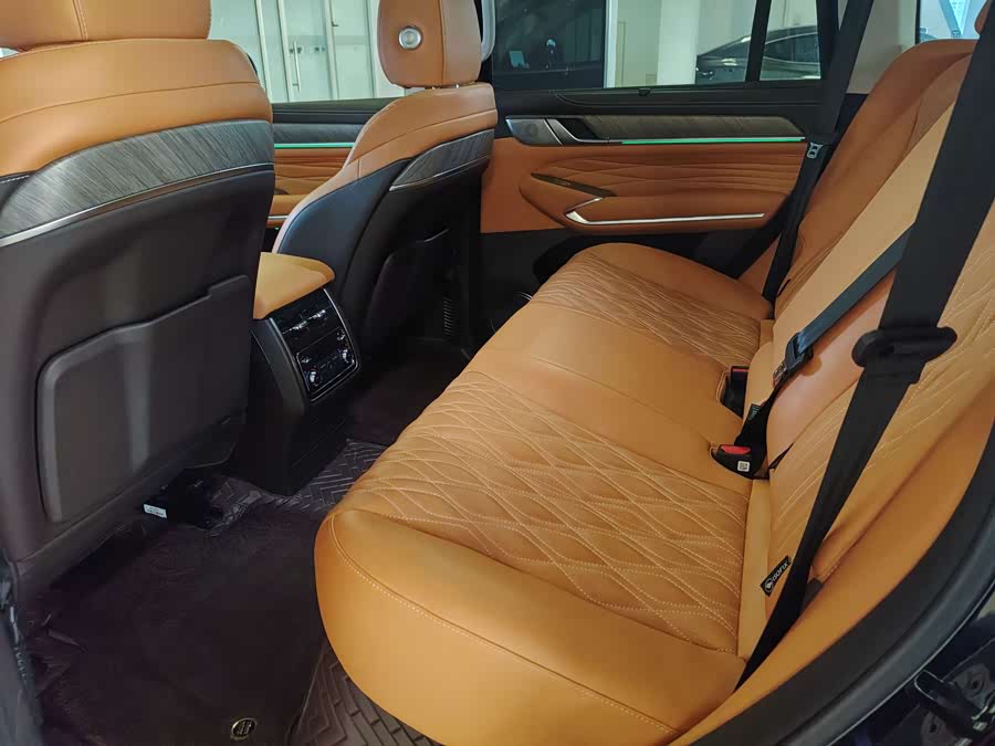 Tank 500 New Energy 2023 #25 Tank 500 New Energy 2023 car image #25