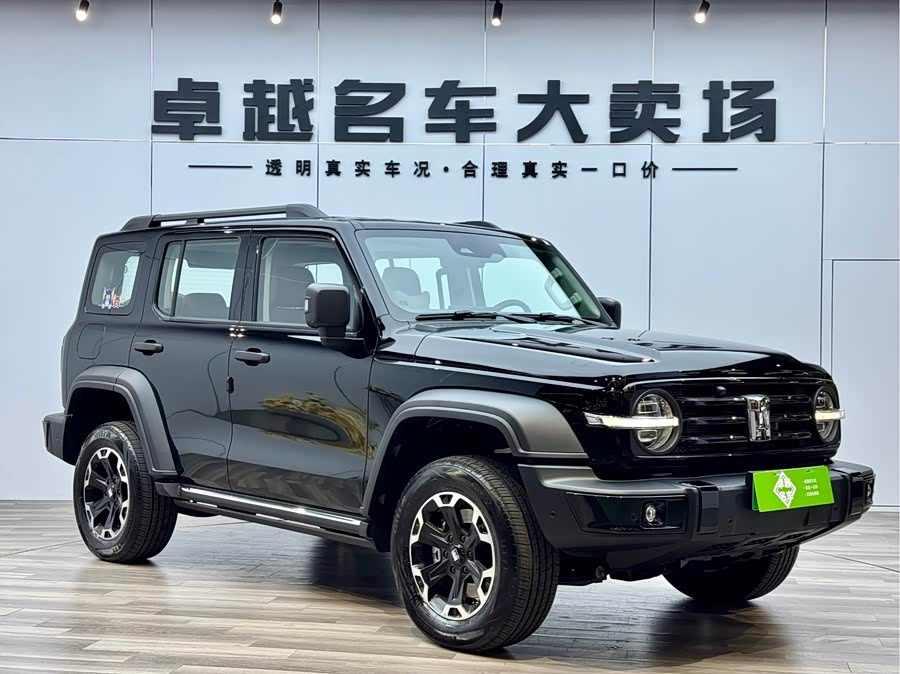 Tank 300 New Energy 2025 #25 Tank 300 New Energy 2025 immagine di auto #25