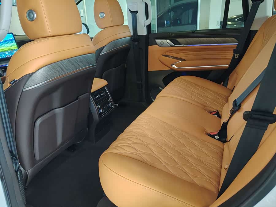 Tank 500 New Energy 2024 immagine di auto #25