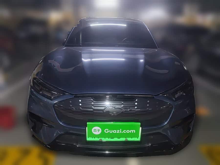 Ford Mustang Mach-E 2022 car image #25