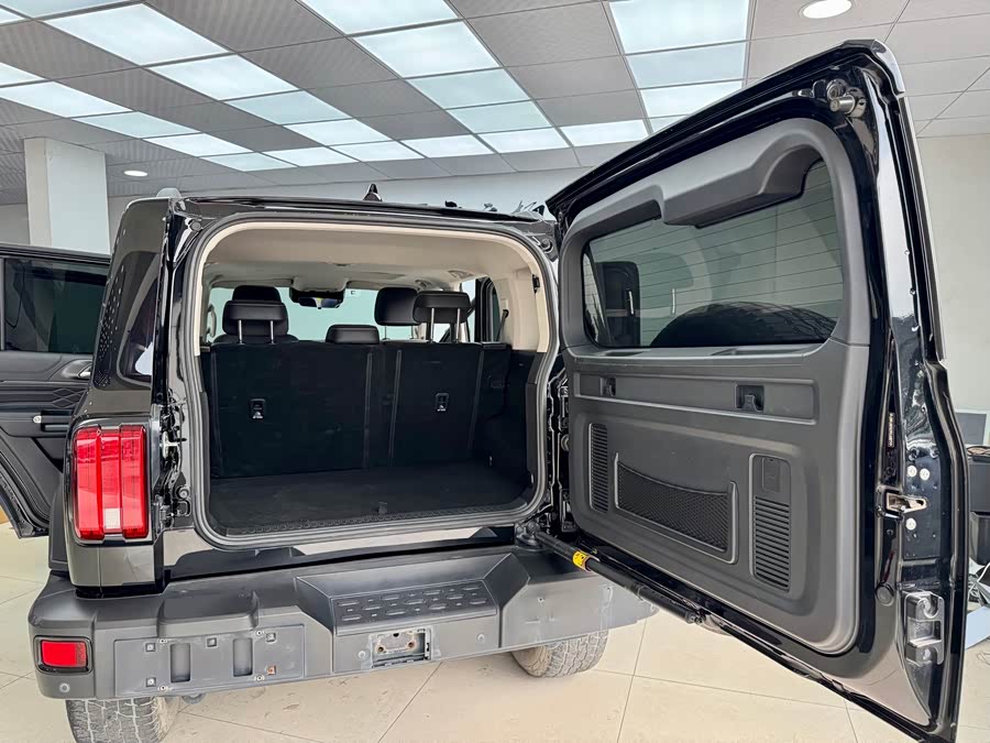 Tank 500 New Energy 2024 immagine di auto #25