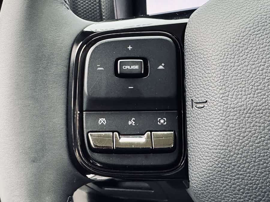 Haval Raptor New Energy 2024 car image #25