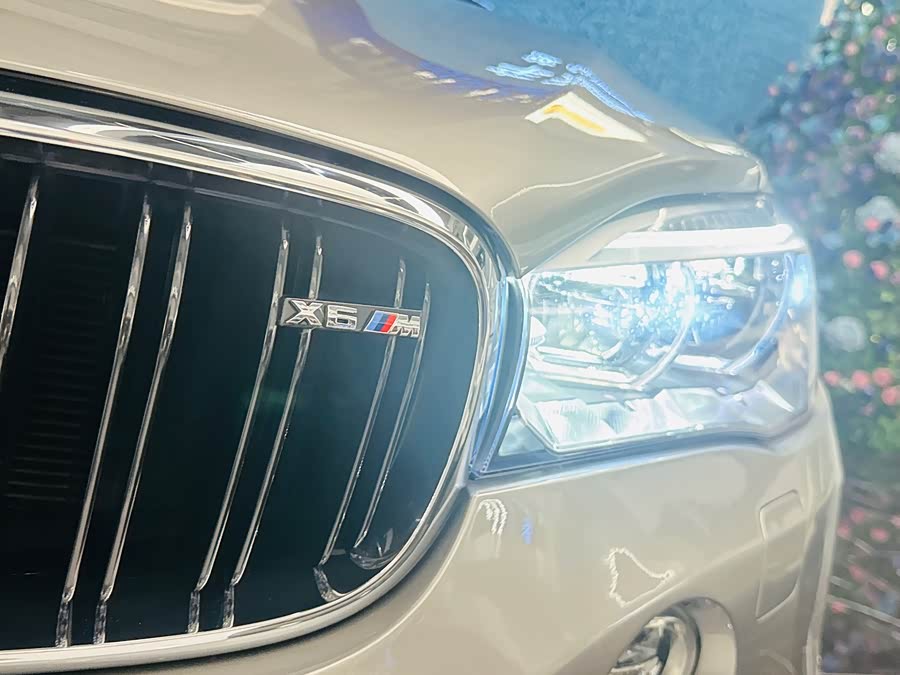 BMW X6 M 2016 car image #25