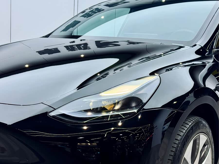Tesla Model Y 2023 car image #25