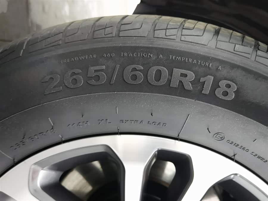 Great Wall Poer 2021 car image #25
