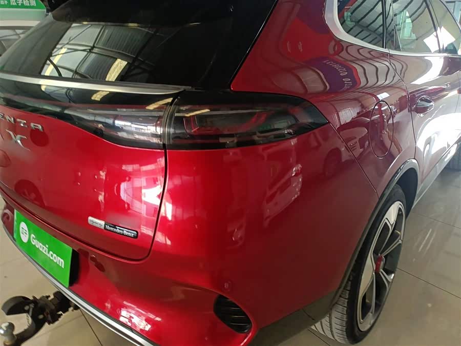 Denza X 2020 car image #25