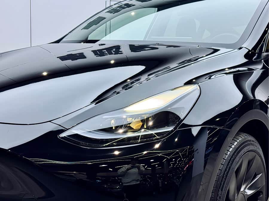 Tesla Model Y 2021 #25 Tesla Model Y 2021 car image #25