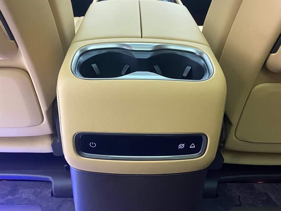 Denza D9 2024 car image #25