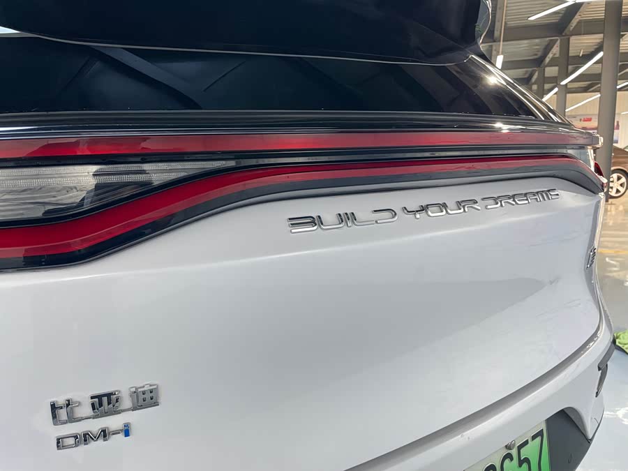 BYD Tang New Energy 2023 car image #25