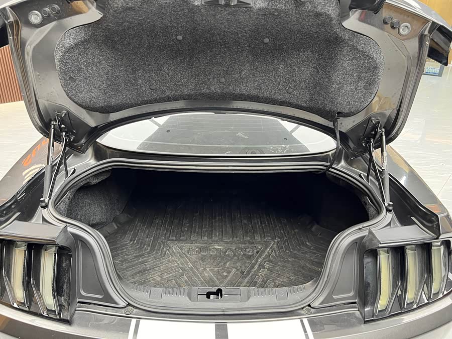 Ford Mustang 2020 car image #25