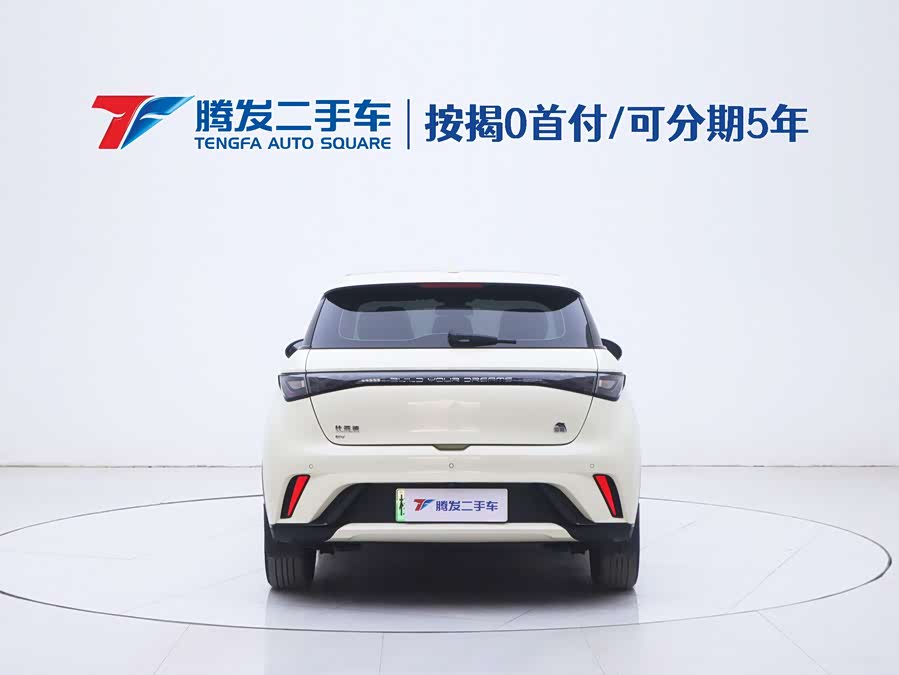 BYD Dolphin 2023 immagine di auto #25