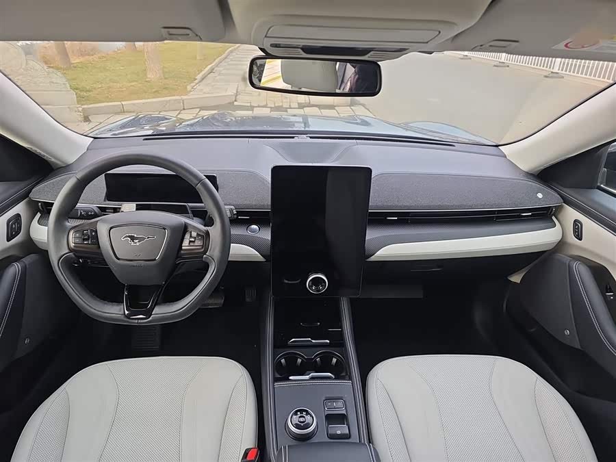 Ford Mustang Mach-E 2022 #25 Ford Mustang Mach-E 2022 car image #25