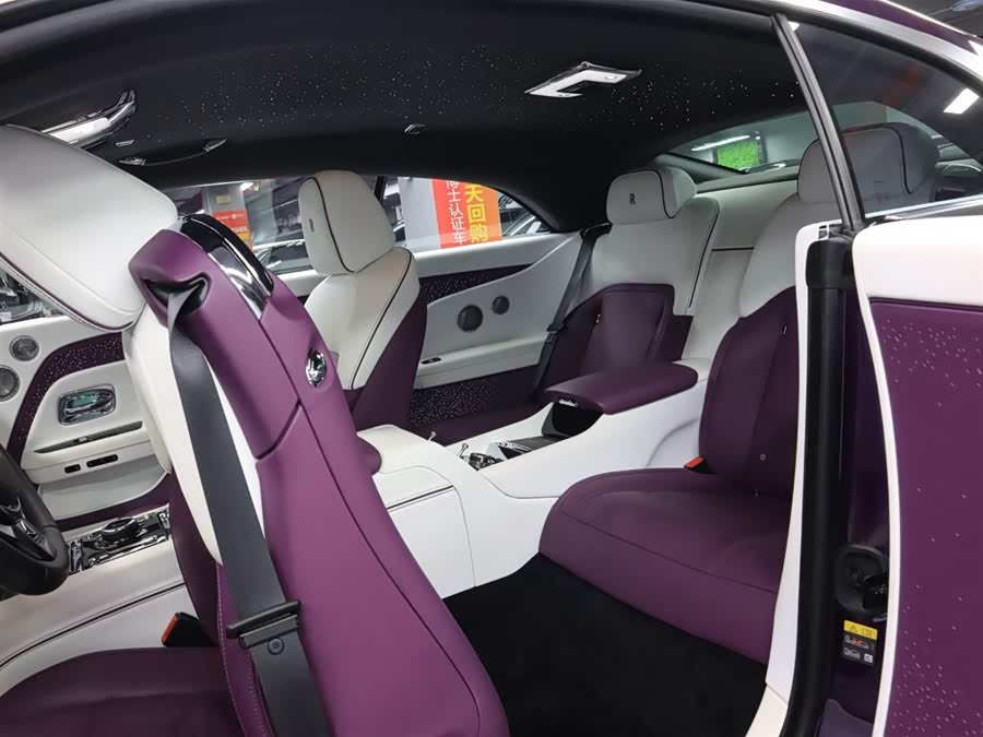 Rolls-Royce Spectre 2023 immagine di auto #25